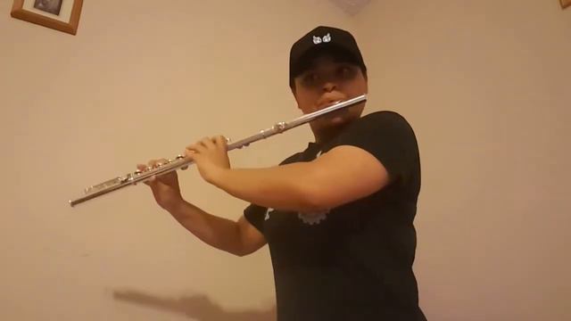 Marshmello ft. Khalid - "Silence" | Flute Cover смотреть онлайн