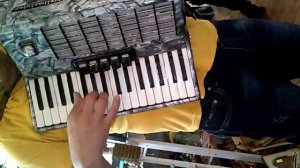 Брат на акардионе играет