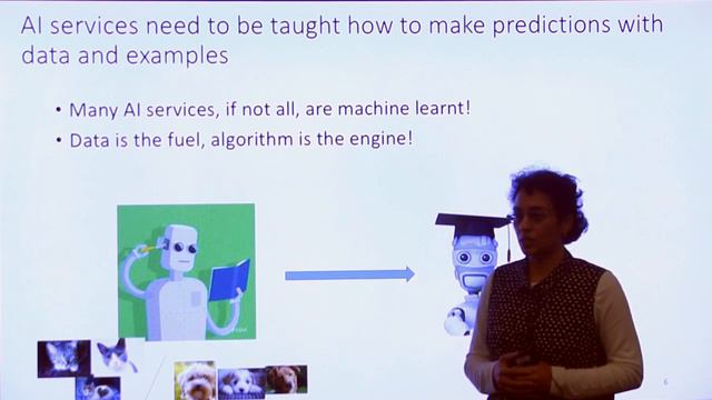 Faster Data Science+Best Practices for AI-enabled applications, Ian Swanson&Rama Akkiraju 20180827