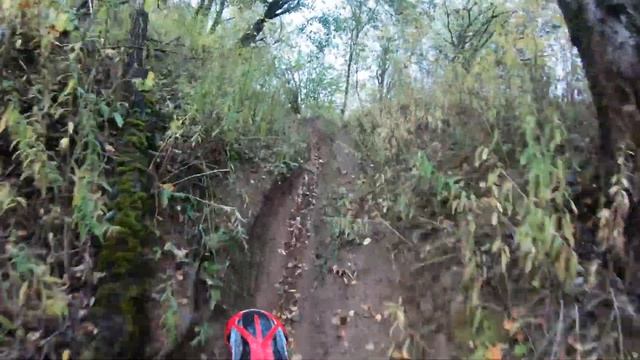 Лайт_Эндуро: Угнаться за Максом3 или Миссия не выполнима (ZUUM & KTM) смотреть онлайн