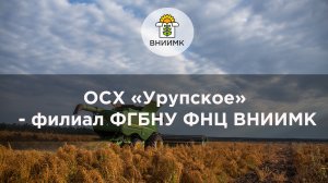 ОСХ Урупское - филиал ФГБНУ ФНЦ ВНИИМК