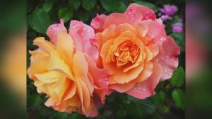 Аффирмации для молодости и красоты.mpg