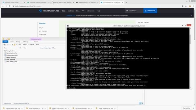 Install FLUTTER + VSCODE + SDK ANDROID + OpenJDK JAVA + HAXM + hello_world without Android Studio смотреть онлайн