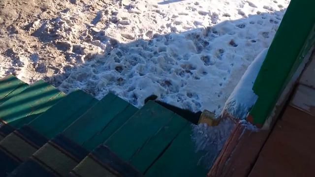 Хорошая порода. БМВ - Бурятмонгольский волкодав. смотреть онлайн