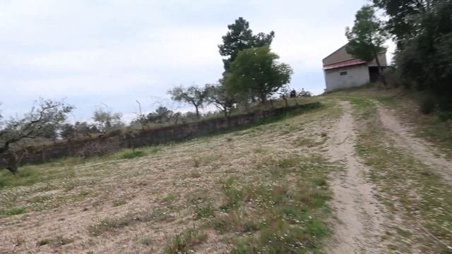 Three More Viewings In Castelo Branco, Portugal, Plus Property Search Tips