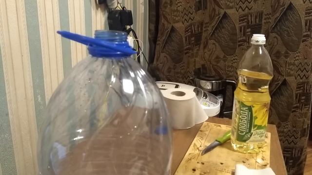 Ловушка для тараканов . студенческий лайфхак смотреть онлайн