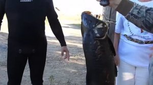 Соревнования по подводной охоте  озеро Балхаш    Дельта