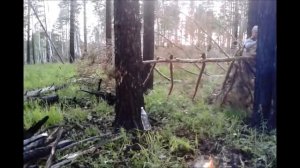 Сибирские леса, поиски заброшенного бункера, тайга, одиночный поход, .