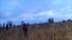 Охота на Фазана Астрахань 2015