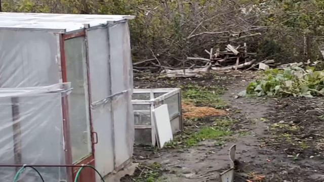 Вы просили подробнее. Зеленые помидоры Пальчики оближешь #Своимируками #ЕленаСитникова