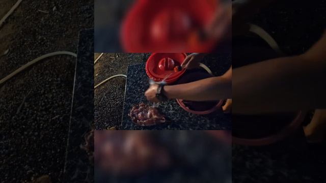 Холодное копчение и готовим юколу из щюки. Балық кептіру және юкола шортаннан Кызылорда смотреть онлайн