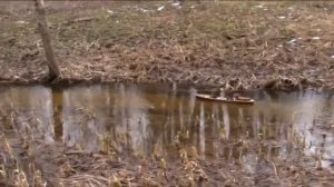 Паровой катер Skrimsl . Паровые машины Александра Дегтева