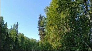 Рыбалка на р. Ваймуга. Ловля хариуса-первый опыт.