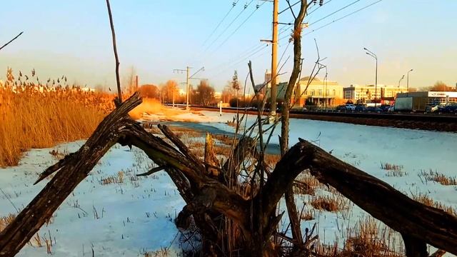 VID 1648053410391 Озеро Чад 1907 (Н. Гумилёв)...Павел Васильев Лахтинский смотреть онлайн