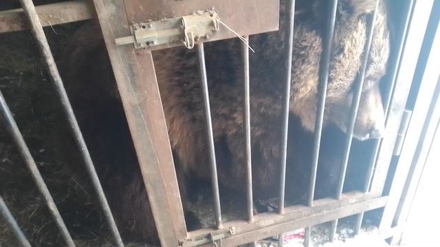 20.02.23. Сглазил. #машапросыпаша смотреть онлайн