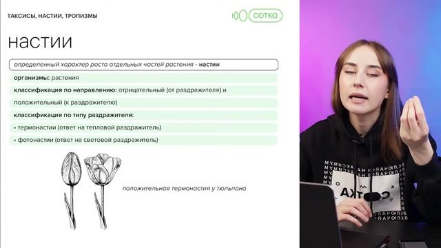 Таксисы, настии и тропизмы - все о движении организмов на ЕГЭ | ЕГЭ БИОЛОГИЯ 2022 | СОТКА
