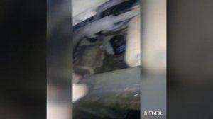 Замена АКПП LEXUS RX330