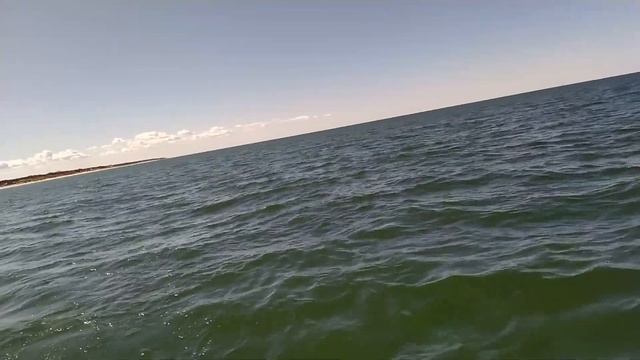 Троллинг лосося в Балтийском море. Ловля Балтийского лосося. Рыбалка в Калининграде. Сёмга. Лосось. смотреть онлайн