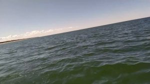 Троллинг лосося в Балтийском море. Ловля Балтийского лосося. Рыбалка в Калининграде. Сёмга. Лосось.