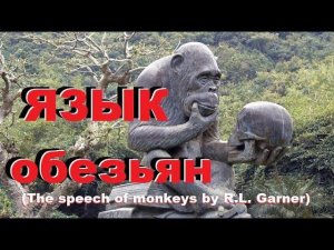 Обезьяны тоже разговаривают - военный эксперимент в Питере