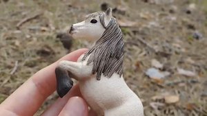 Новые лошади | Съёмки в лесу | Schleich (Шляйх) | by ESS Like