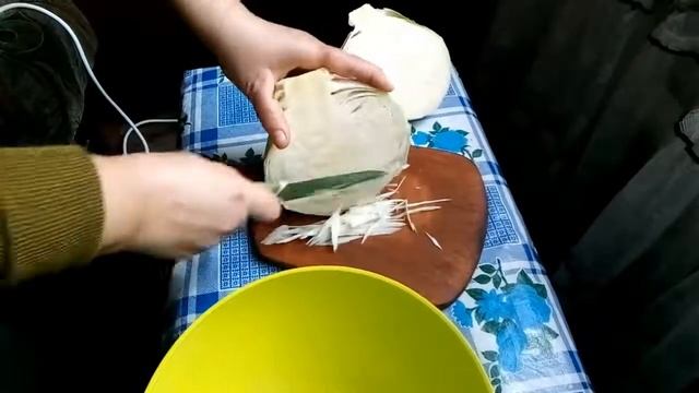 Как хранить капусту. Поздняя капуста весной.
