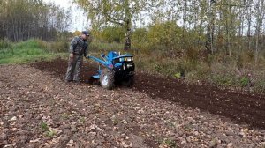 Тяжелый дизельный мотоблок Prorab GT100RDKe. Работа с фрезой.