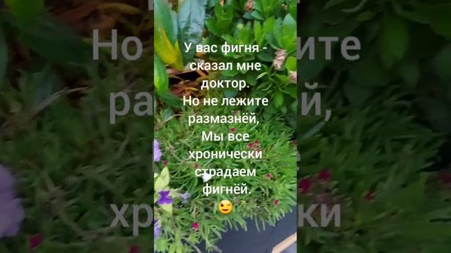 Стишки пирожки, автор: zrbjvd