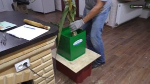 Влияние высоты среза кукурузы на питательность силоса — эксперимент