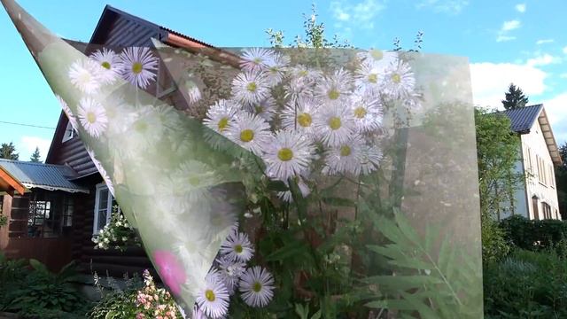 Дача  Dacha  2018