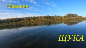 Осенняя рыбалка на щуку.Щука бросается на все приманки.