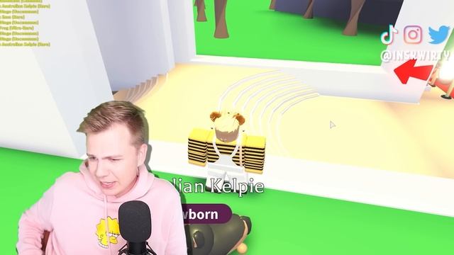 Открываю 100 АВСТРАЛИЙСКИХ ЯИЦ, чтобы получить ЛЕГУ Адопт Ми! (Роблокс) смотреть онлайн