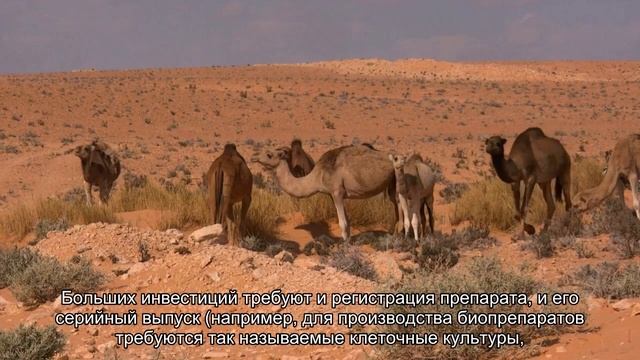 Что такое биопрепараты и когда их начнут производить в России