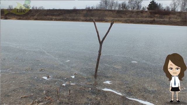 Толковое обучение ловли карпа зимой на мормышку! Как ловить карпа зимой на мормышку?