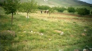 KÜRECiK malatya maraş ELBİSTAN Garip dost orimazin