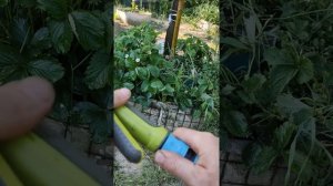 Чем отличается коннектор для шланга с аквастопом и без него? Наглядно показываю и рассказываю)