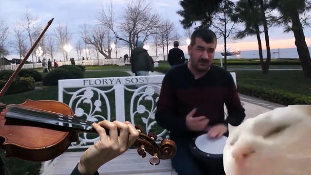 Levan Polkka - Violin Cover - Cat Vibing Remix смотреть онлайн