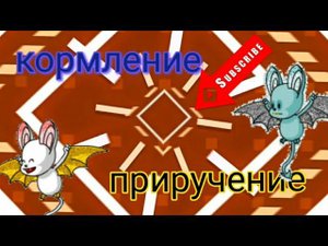 Нильский крылан /приручение и кормление