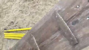 26.12.2022. Кинологи в приюте для бездомных животных "Лисёна"