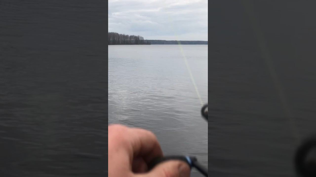 ОГРОМНАЯ ПЛОТВА на ФИДЕР на каждом ЗАБРОСЕ смотреть онлайн