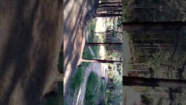 Закамск 1 2018 смотреть онлайн