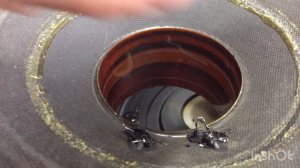 Ремонт Dap Audio - ER-1576L V2 woofer