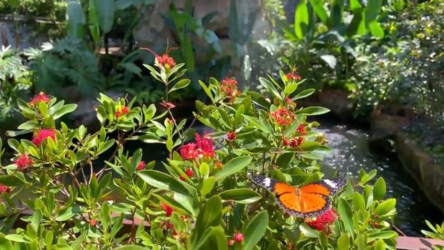 - Мише три, а он до сих пор буквы не знает, - кричала дочь от того что я отказываюсь заниматься с в смотреть онлайн