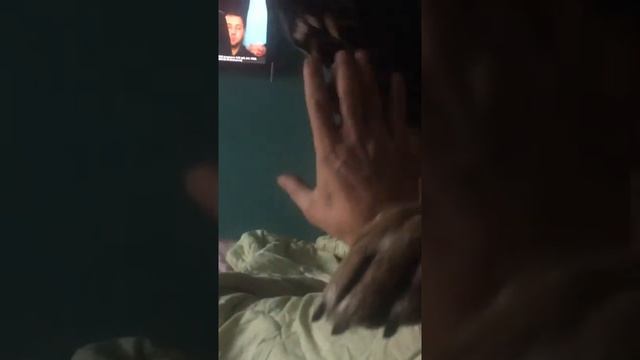 28 декабря 2019 г..mp4
