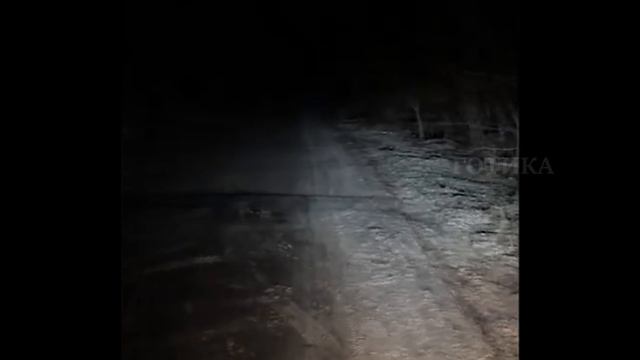ЗОМБИ-ЧЕЗ ЗАСНЯЛ В ЛЕСУ ЖУТКУЮ ТВА@РЬ. СТРАННЫЕ, МИСТИЧЕСКИЕ СУЩЕСТВА СНЯТЫЕ НА КАМЕРУ