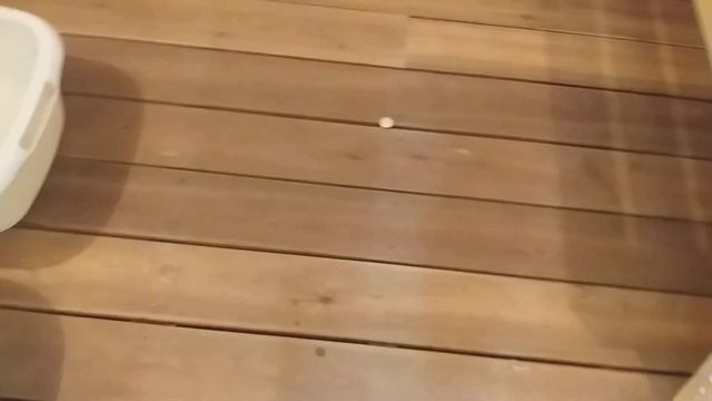 авангард 24 зк! эксперимент Часть 1ая. смотреть онлайн