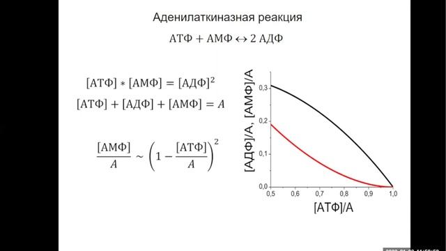 Лекция 12. Эритроцит. Энергетика. Часть 1. смотреть онлайн