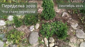 Переделки. Что стало через год | Vlog дача как есть.  Хроника, сентябрь  2021