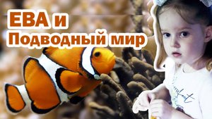 Догонялки с акулой (Плавание рыбок) swimming and underwater world of fish.