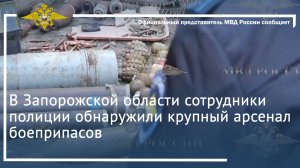 В Запорожской области сотрудники полиции обнаружили крупный арсенал боеприпасов